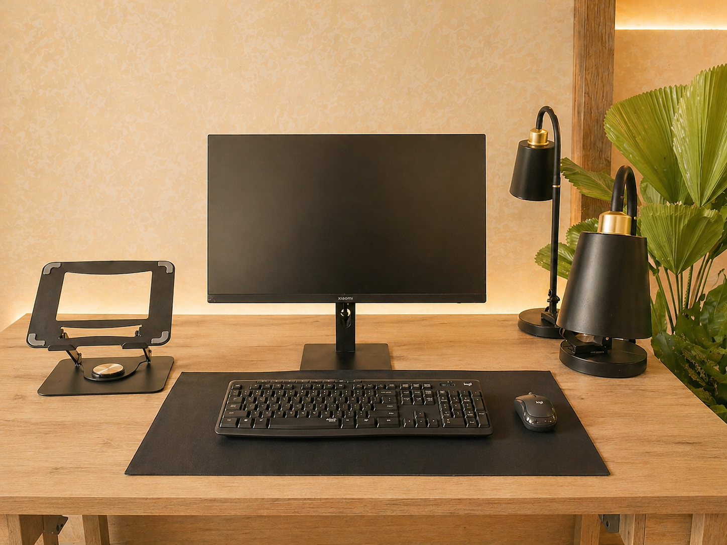 Pro desk setup